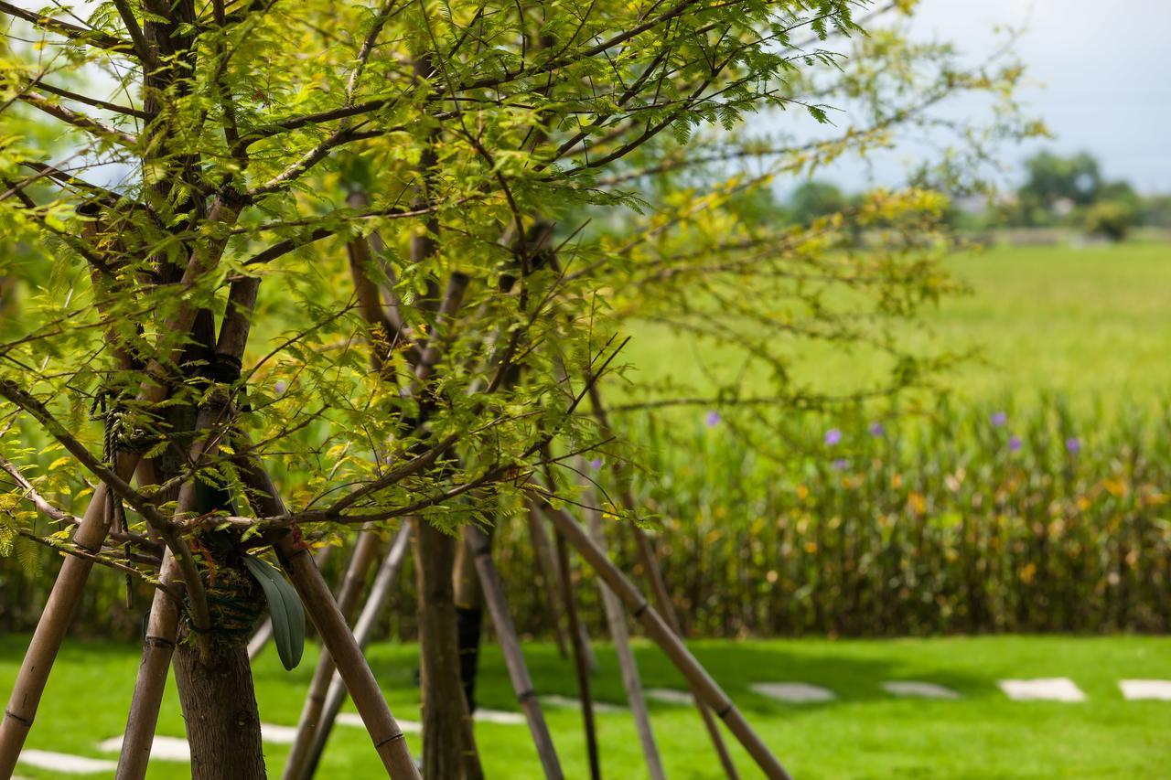 Buluba-Green Fields Yuanshan Dış mekan fotoğraf